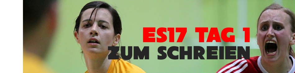 ES17 * REPORT