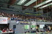 image-RLFIN26